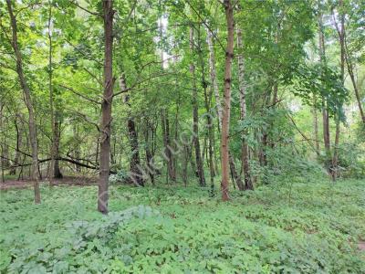 Działka na sprzedaż Osowiec
