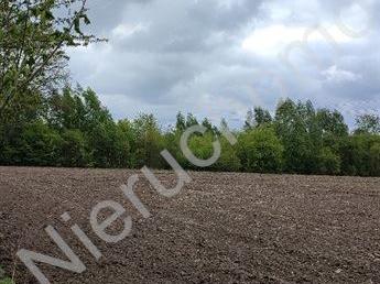 Działka na sprzedaż Radonie