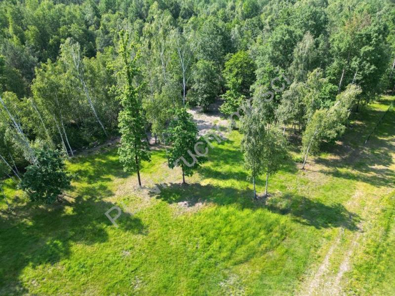 Działka na sprzedaż Adamowizna