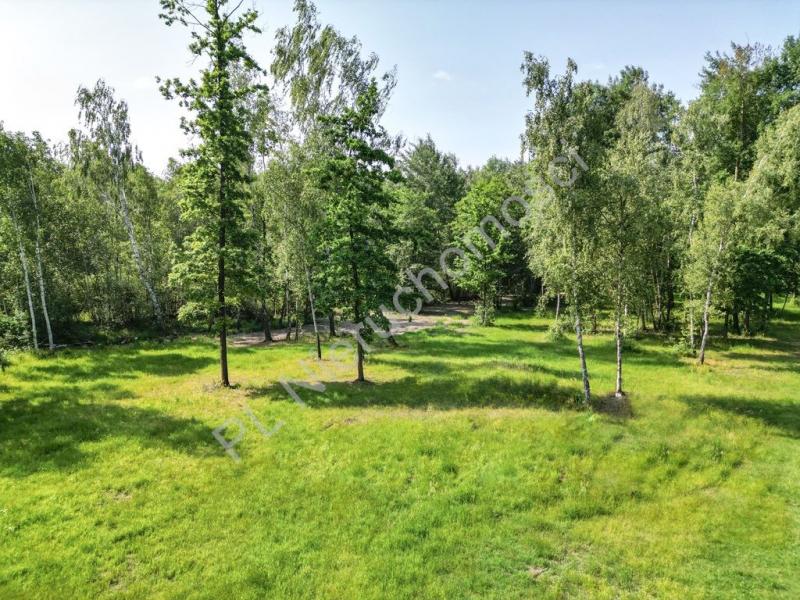 Działka na sprzedaż Adamowizna