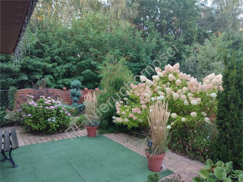 Dom na sprzedaż Adamowizna