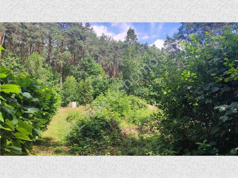 Działka na sprzedaż Makówka