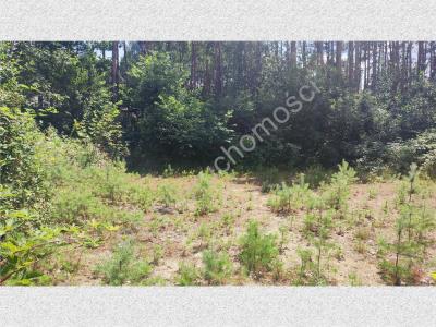 Działka na sprzedaż Makówka