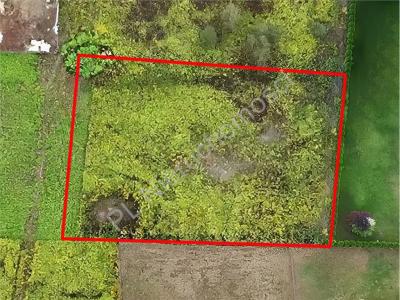 Działka na sprzedaż Granica