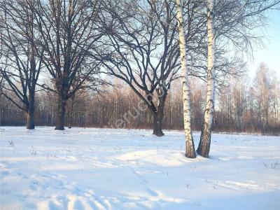 Działka na sprzedaż Milanówek