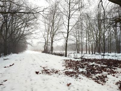 Działka na sprzedaż Milanówek