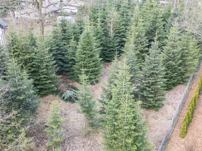 Działka na sprzedaż Milanówek