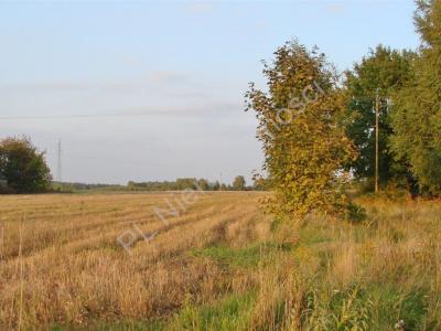 Działka na sprzedaż Zaręby