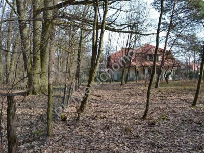 Działka na sprzedaż Podkowa Leśna